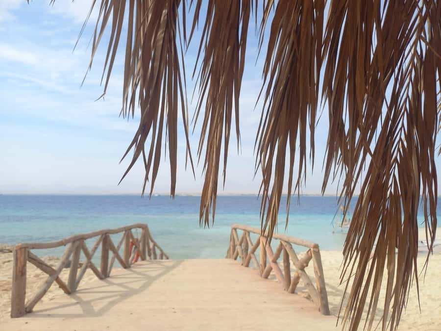 Hurghada: Boat trip to Magawish island with Multi Options - Two snorkeling stops and the Red Sea underwater world