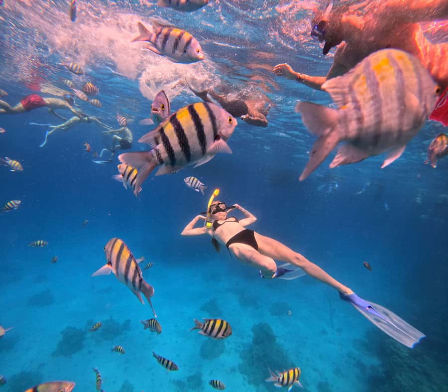 Hurghada: Orange Bay Island Boat Trip w/ Breakfast and Lunch - Lunch on board after the water