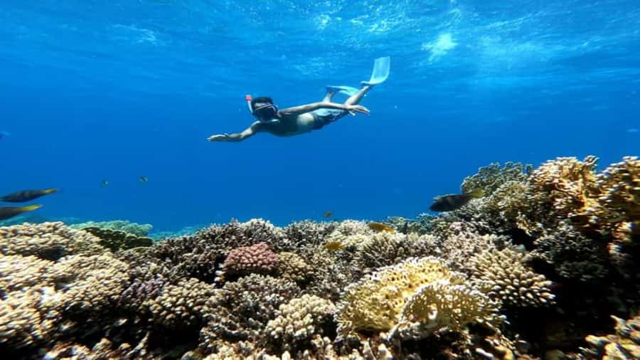 Hurghada: Orange & Giftun Island Cruise with Massage & Lunch - Jazīrat Abū Rimāthī adds a second reef view