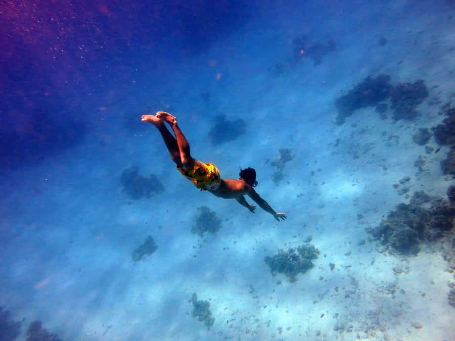 Hurghada: Premium Island Cruise with Lunch and snorkeling - A Red Sea day built around two snorkel stops