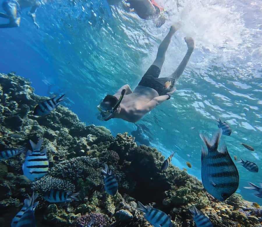 Hurghada: Premium Orange Island Cruise with Lunch & Transfer - Lunch is simple, plentiful, and built for families