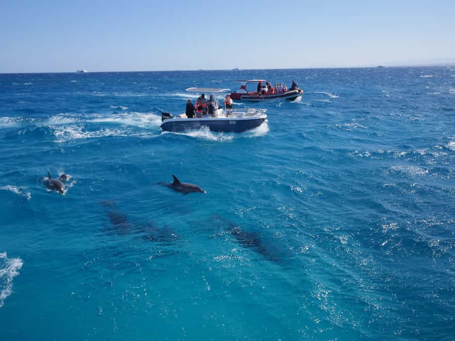 Hurghada: Private Speedboat to Orange Bay and White Island - How the guides shape the day