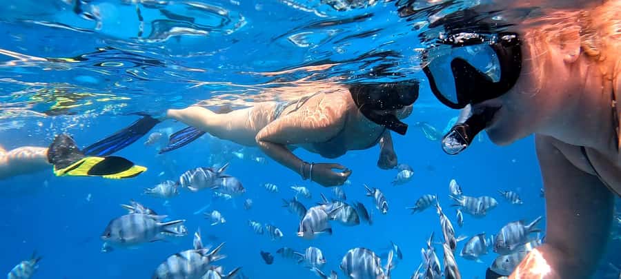 Hurghada: White Island Speedboat Tour, Snorkeling, & Lunch - What the $180 group price really buys
