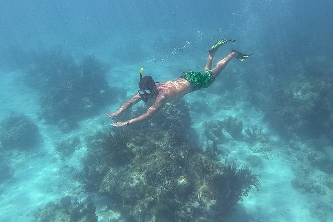 Icacos Deserted Island Catamaran, Snorkel, and Picnic Cruise - Is $138.50 a fair price?
