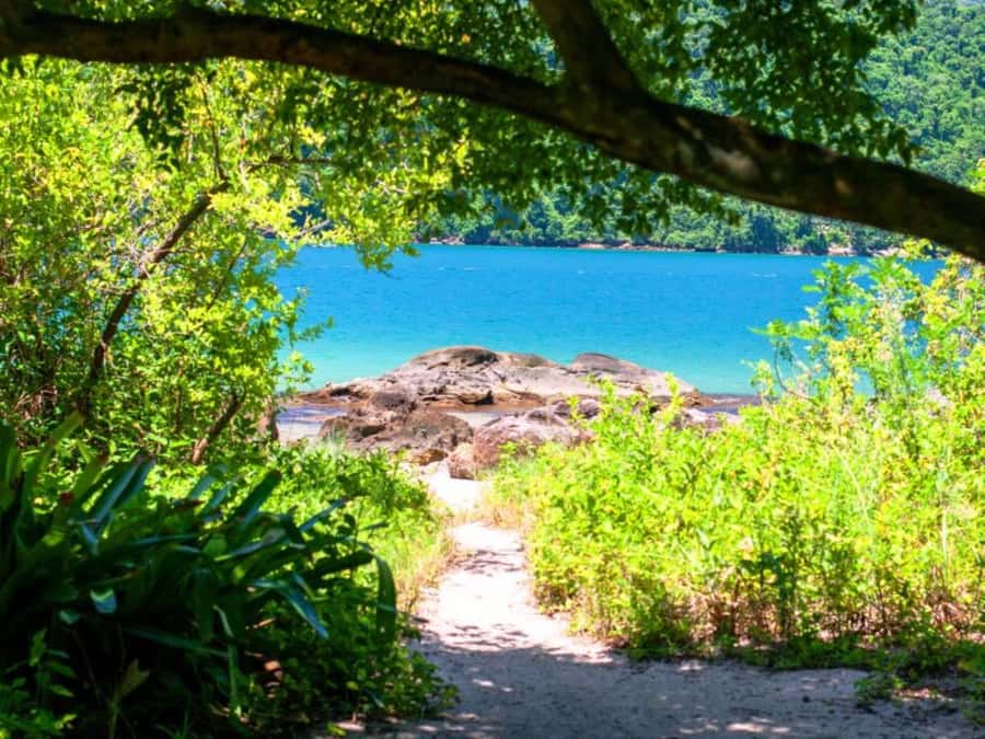 Idyllic Islands Private Speedboat Tour in Paraty - Is This Paraty Boat Tour Right for You?