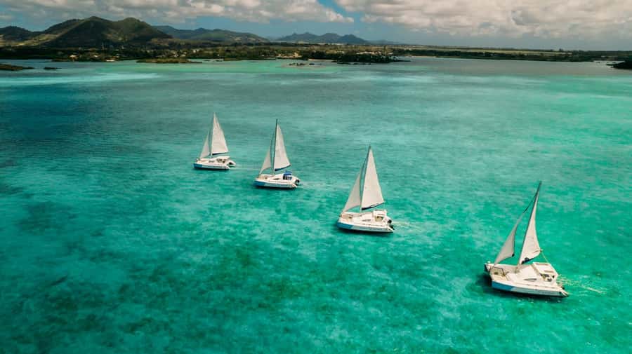 Ile Aux Cerfs: Catamaran Cruise, island, waterfalls, Lunch - Who will enjoy this catamaran day