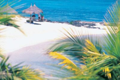Ile aux Cerfs: Island & Waterfall Speedboat Tour with Lunch