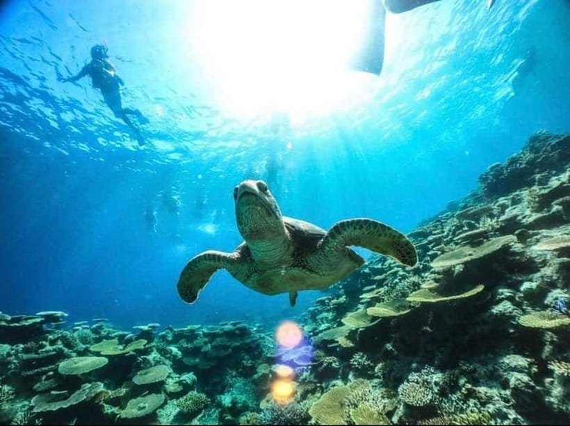 Iriomote: Boat Snorkeling Tour at Barasu Island - Reaching Barasu Island by speedboat