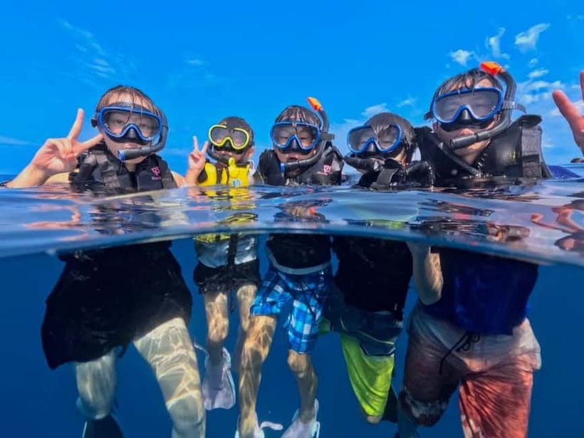 Iriomote: Boat Snorkeling Tour at Barasu Island - A calm start for first-time snorkelers