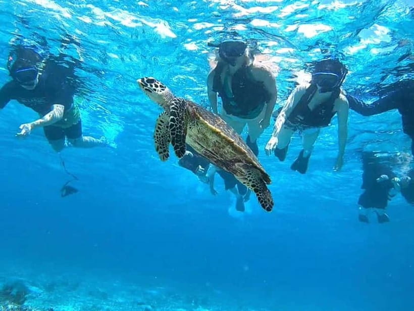 Iriomote: Boat Snorkeling Tour at Barasu Island - FAQ