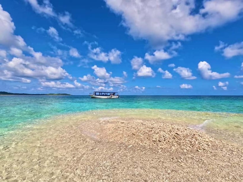 Iriomote: Boat Snorkeling Tour at Barasu Island - What the two snorkeling stops offer