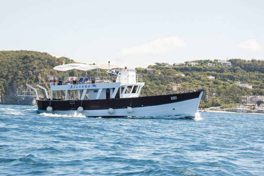 Ischia: Island Boat Tour with Neapolitan Lunch & Snorkeling - Dessert at Spiaggia degli Inglesi
