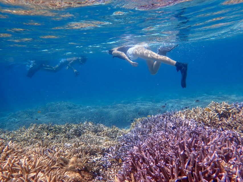 Ishigaki Island: Boat Snorkeling Tour at Phantom Island - Phantom Island appears only when the tide allows