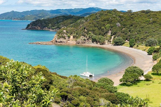 Island Hopper Day Cruise - sailing to wildlife sanctuary island - 6 hr cruise - Six hours among the Bay of Islands