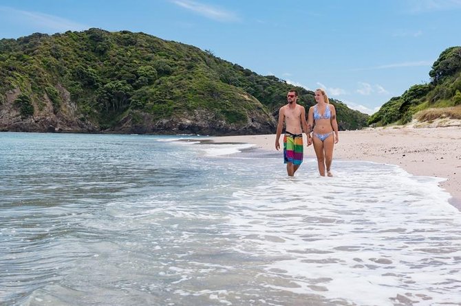 Island Hopper Day Cruise - sailing to wildlife sanctuary island - 6 hr cruise - A fair look at the $139.63 price