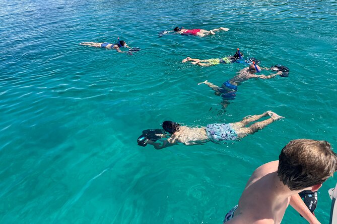 Island Hopping Adventure in the British Virgin Islands! - Snorkeling for sea turtles at Cooper Island