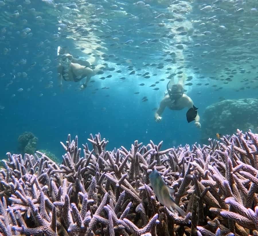 Island Hopping Gili Asahan, Gede, Rengit, Layar & Goleng - The guides make a real difference
