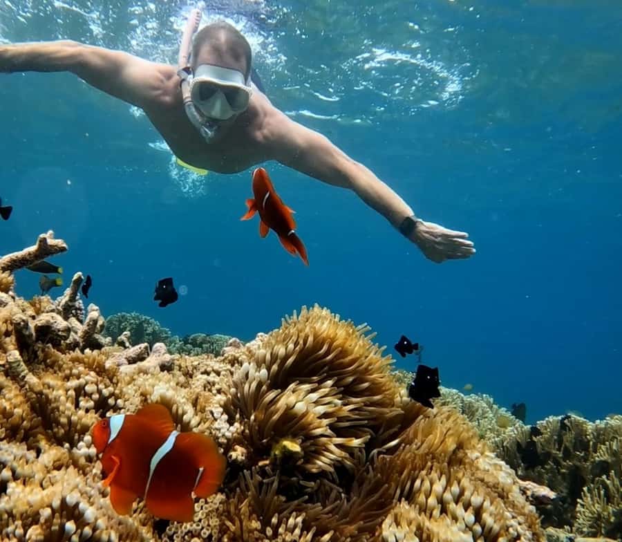 Island Hopping Gili Asahan, Gede, Rengit, Layar & Goleng - Gili Layar: the main fish stop and lunch break