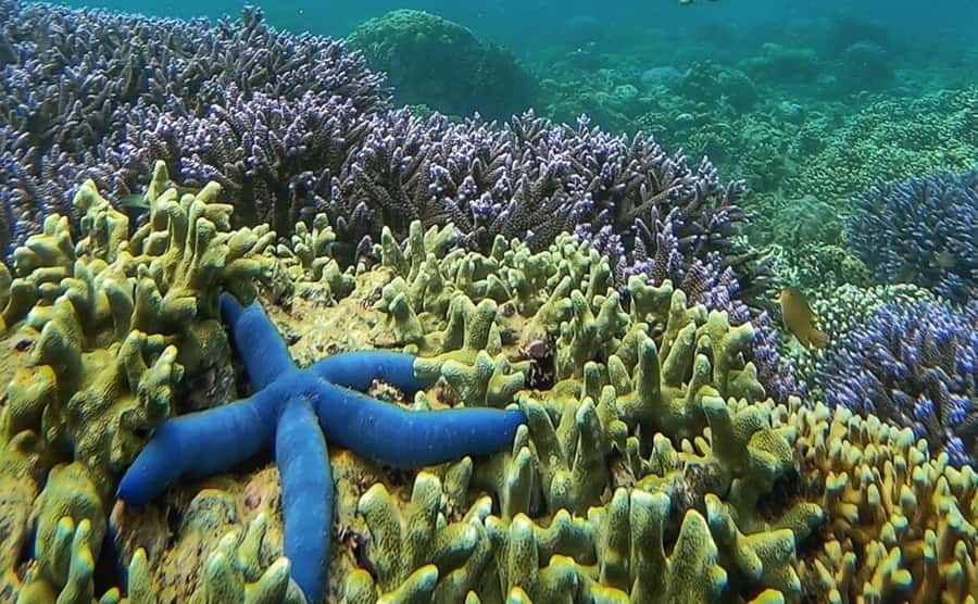 Island Hopping Gili Asahan, Gede, Rengit, Layar & Goleng - Gili Goleng: an empty-island pause