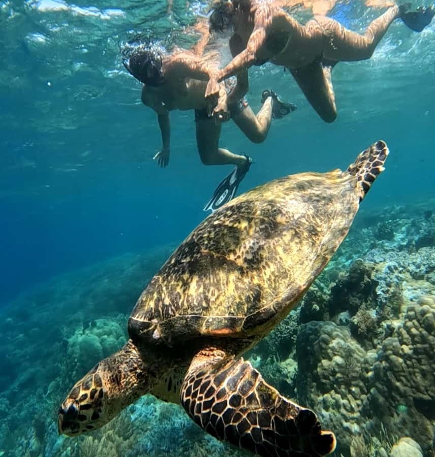 Island Hopping Gili Asahan, Gede, Rengit, Layar & Goleng - Gili Asahan: a relaxed finish with mountain views