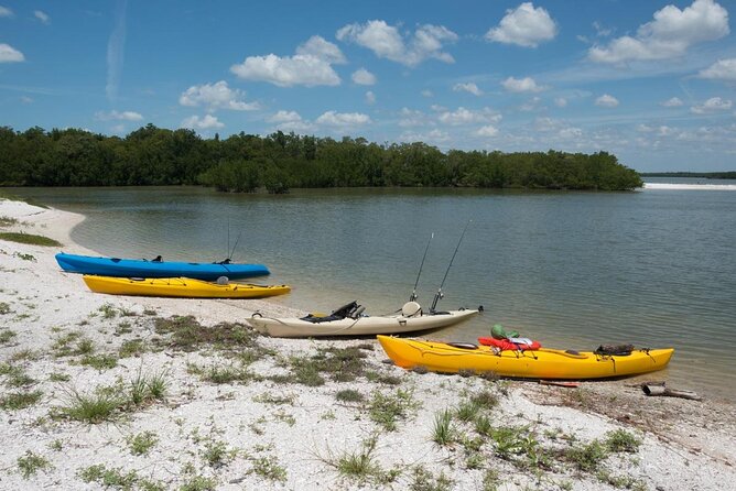 Island Paradise: Dolphin, Shelling, Birding Eco Boat Tour - Cruising Through the Ten Thousand Islands