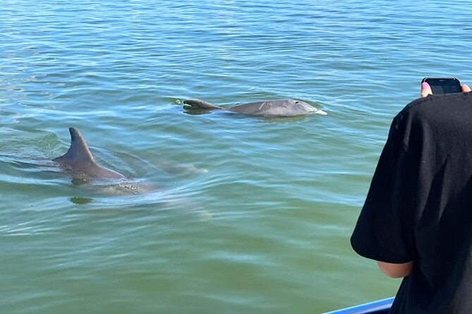 Island Paradise: Dolphin, Shelling, Birding Eco Boat Tour - Watching Dolphins Where They Live