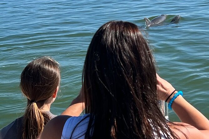 Island Paradise: Dolphin, Shelling, Birding Eco Boat Tour - What to Pack for Two and a Half Hours