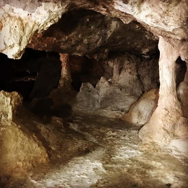 Island Spinalonga, Milatos Cave, Speedboat, OliveTasting - Who should book this tour?