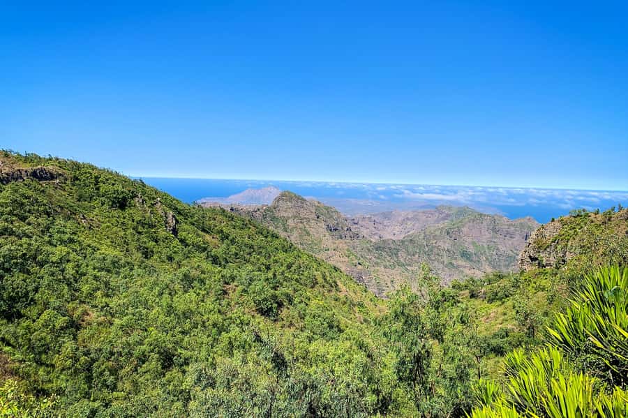 Island tour with German-speaking guide for cruise guests - Picos, Assomada, and the highland views