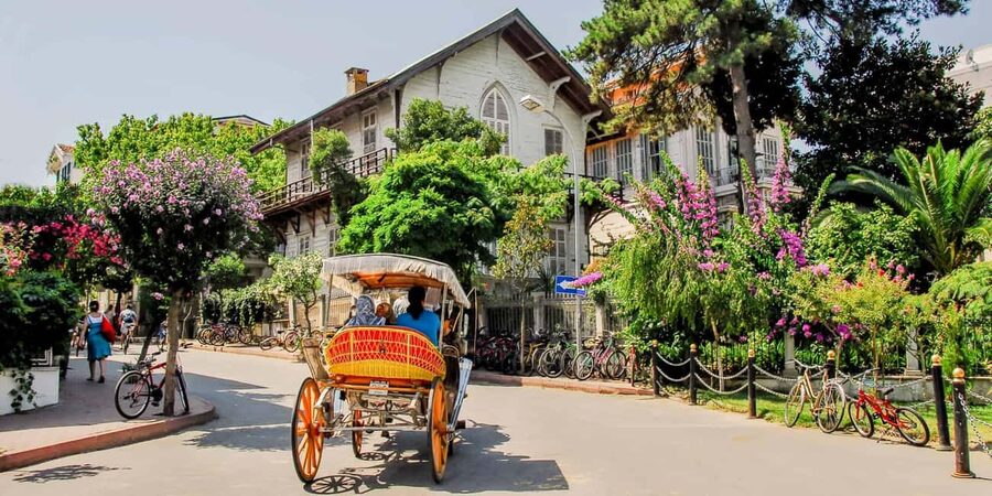 Istanbul Prince Island Cruise with Lunch & Free Time - Key points at a glance