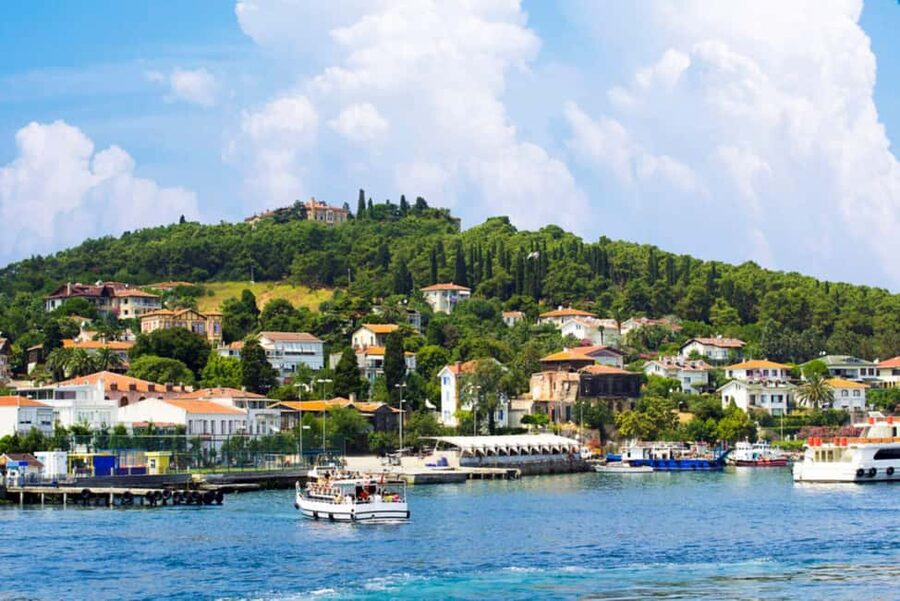Istanbul Prince Island Cruise with Lunch & Free Time - Büyükada: the island with the most to do