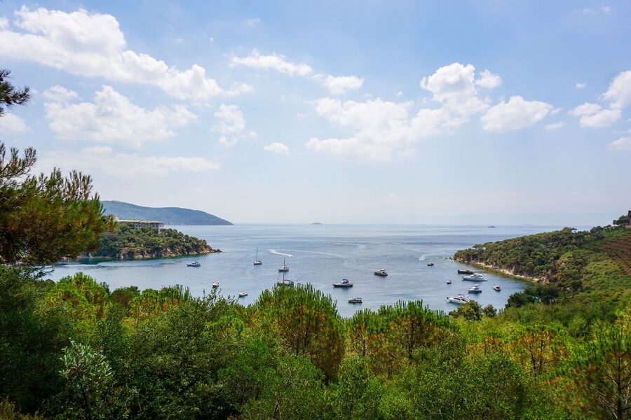 Istanbul: Princes' Islands Cruise w/Music, Lunch & Transfer - Lunch afloat, with a simple setup