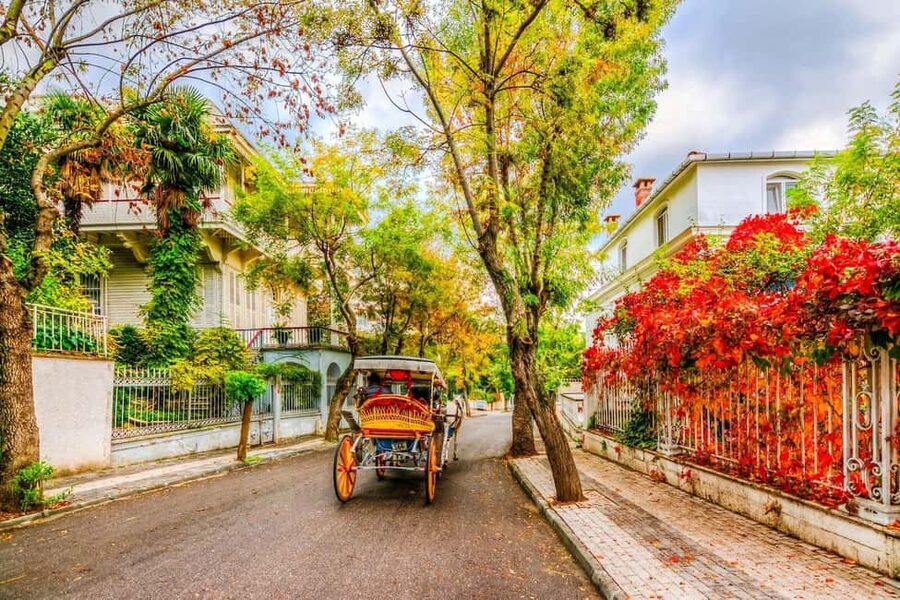 Istanbul: Princes' Islands Cruise with Lunch and Guide - Starting at Cibalı Port