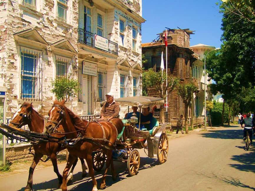 Istanbul: Princes' Islands Cruise with Lunch and Guide - Büyükada, the island with the grandest feel