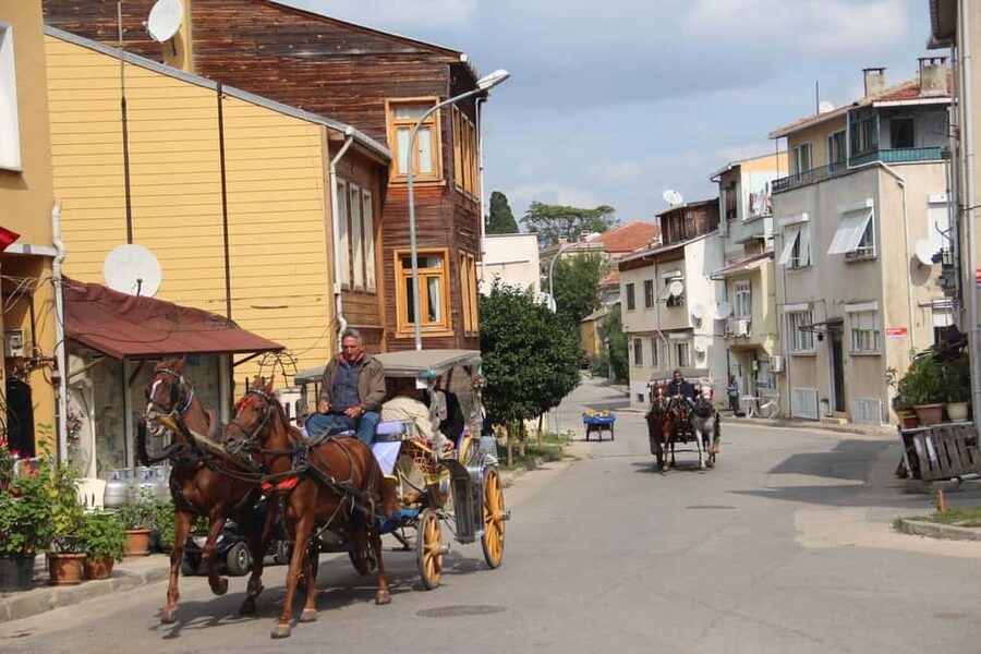 Istanbul: Princes' Islands Cruise with Lunch and Guide - Timing, comfort, and what to pack