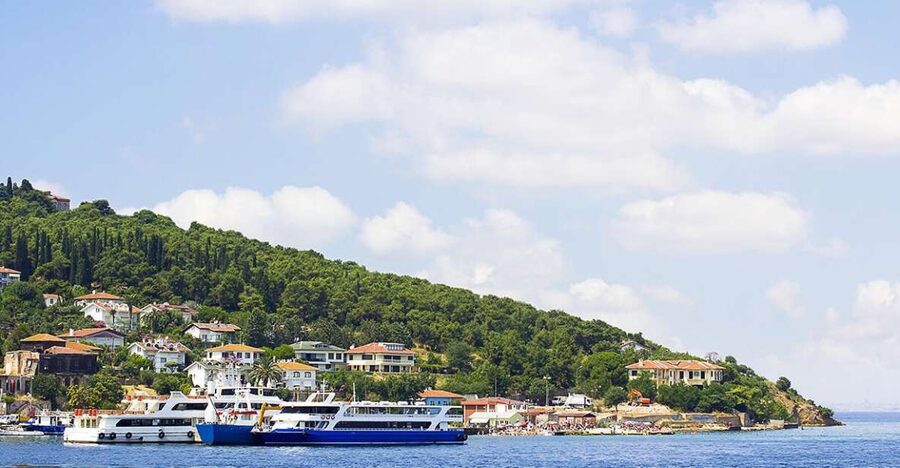 Istanbul: Round-Trip Ferry Tickets to the Princes' Islands - What the $11 price really gives you