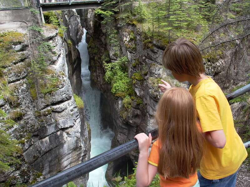 Jasper: Maligne Valley Wildlife & Spirit Island Cruise - What the guide adds to the day