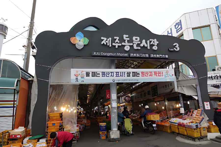 Jeju Island: Full Day Tour for Cruise Ship Passengers - Who should book this Jeju shore excursion?
