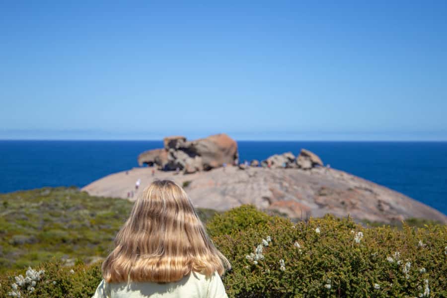 Kangaroo Island Full Day Experience by Ferry Including Lunch - Seal Bay and the Australian sea lions