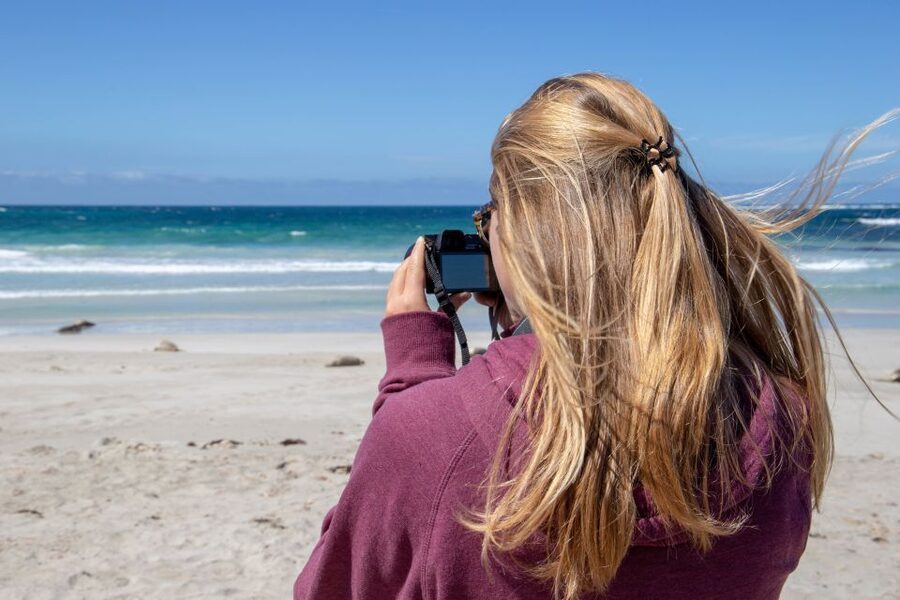 Kangaroo Island Full Day Experience by Ferry Including Lunch - The wildlife sanctuary stop