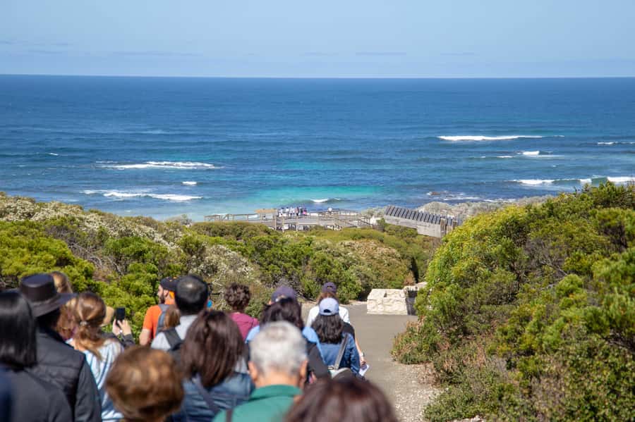 Kangaroo Island Full Day Experience by Ferry Including Lunch - The guides make a real difference
