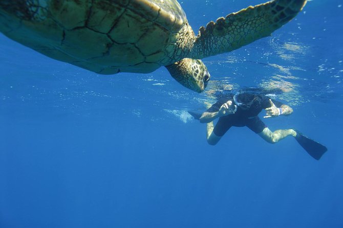 Kauai's Ultimate South Island Zodiac Boat Snorkel Adventure - The second reef: more fish and a different view below the surface