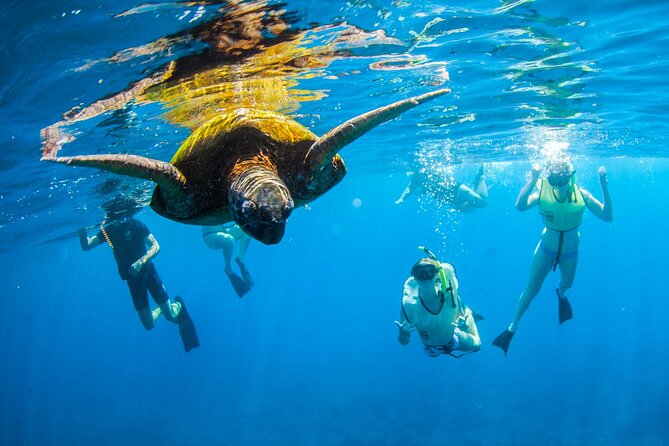 Kauai's Ultimate South Island Zodiac Boat Snorkel Adventure - The first snorkel stop near Spouting Horn