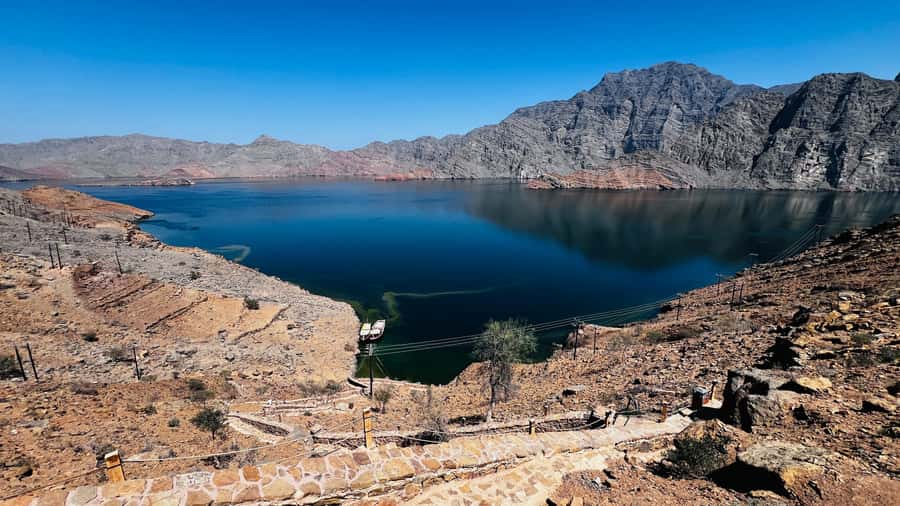 Khasab Musandam |Telegraph Island |Dhow Cruise | Dolphins - Who will enjoy this Musandam cruise most?