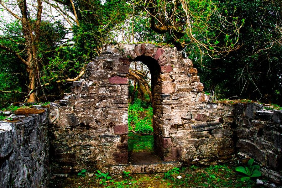 Killarney: Guided Boat Tour to Innisfallen Island - Who should book this Killarney outing?
