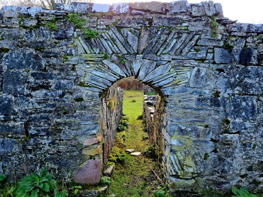 Killarney: Guided Boat Tour to Innisfallen Island - Is one hour enough?