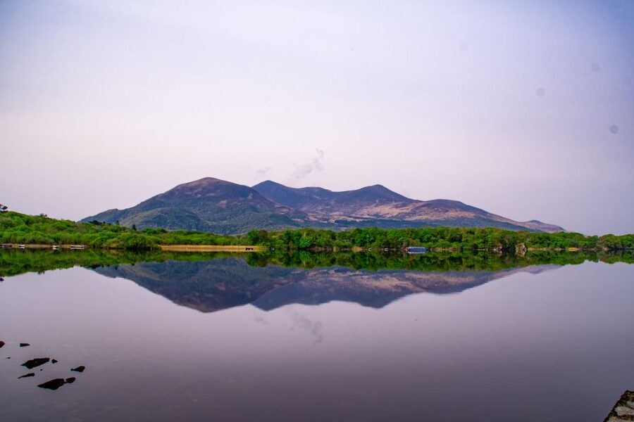 Killarney: Guided Boat Tour to Innisfallen Island - The $24 price and what you get