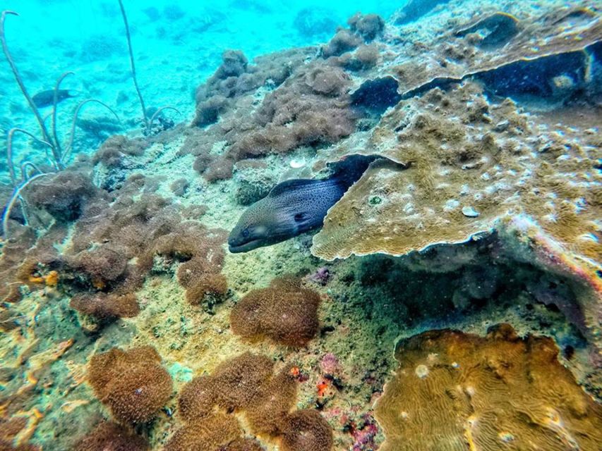 Ko Lanta: 4 Islands Snorkeling Tour by Longtail Boat - Why the Emerald Cave is the star of the day