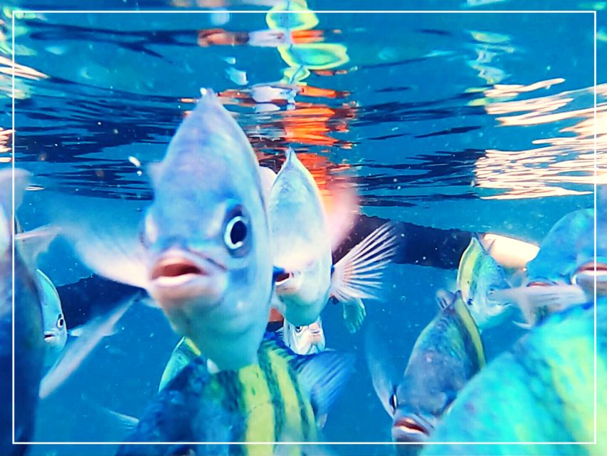 Ko Lanta: 4 Islands Snorkeling Tour by Longtail Boat - Who should book this Koh Lanta trip