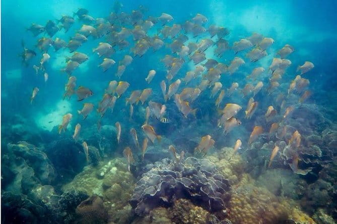 Ko Samet: 5 or 6 Islands Snorkeling Tour with Lunch Option - What is included for $35